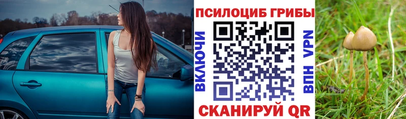 Псилоцибиновые грибы мицелий дарнет шоп Красноуральск